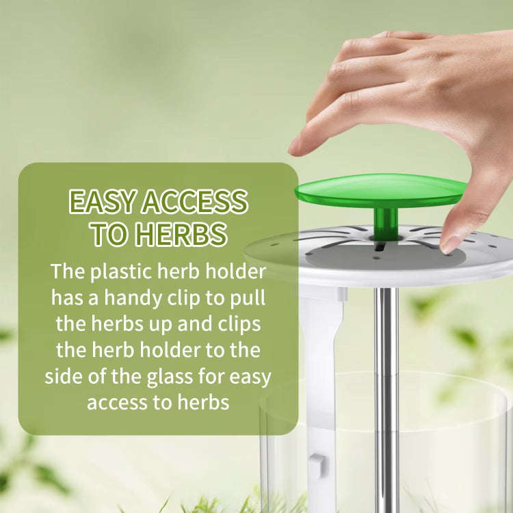 Herb Cilantro Preservation Storage Box Vegetable Keep Fresh Container, Size:31 x 12cm(Green)