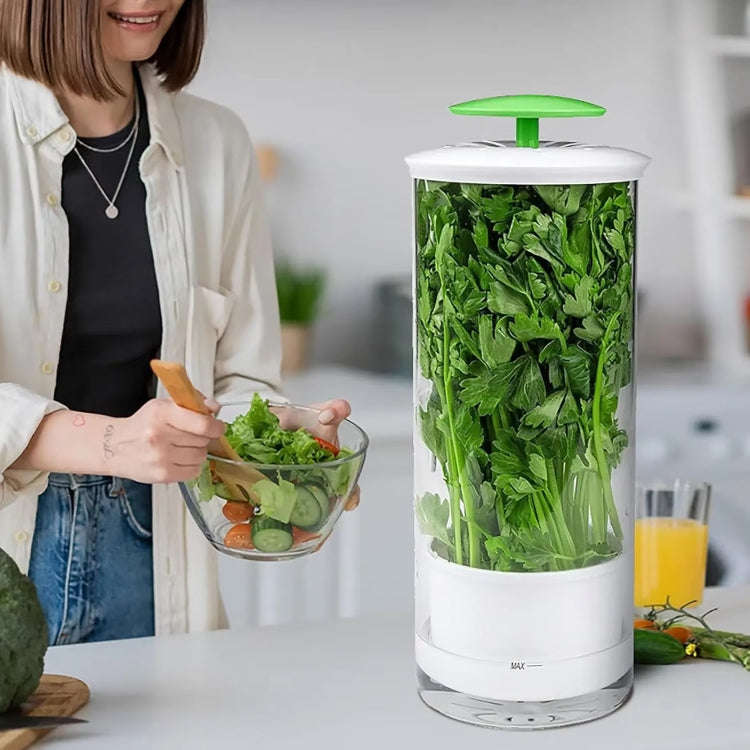 Herb Cilantro Preservation Storage Box Vegetable Keep Fresh Container, Size:31 x 12cm(Green)