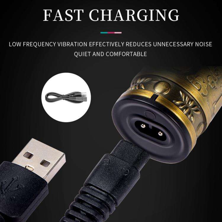 VGR V-085 Vintage Hairstyles Carving USB Electric Hair Clipper(Gold)