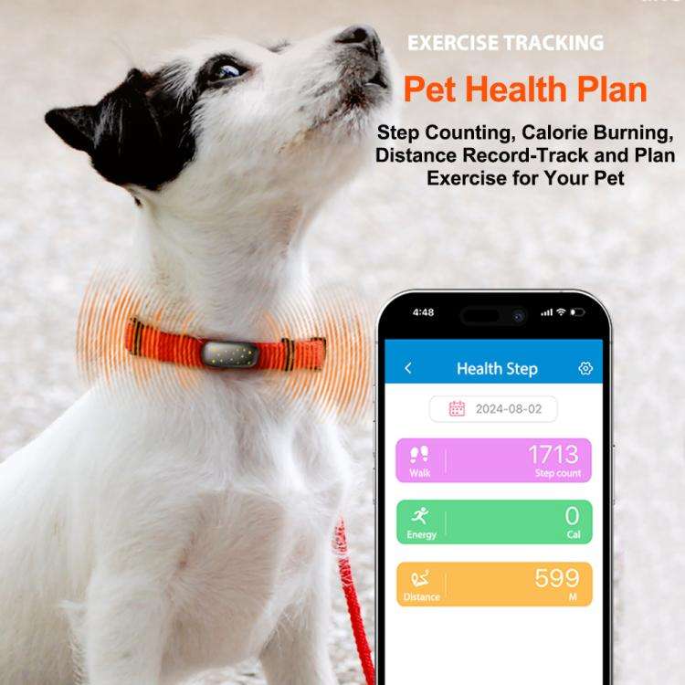 RF-V53 IP67 Waterproof Pet GPS Collar Tracking Device Anti-loss Positioner(Black)
