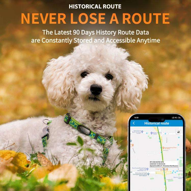 RF-V53 IP67 Waterproof Pet GPS Collar Tracking Device Anti-loss Positioner(Black)