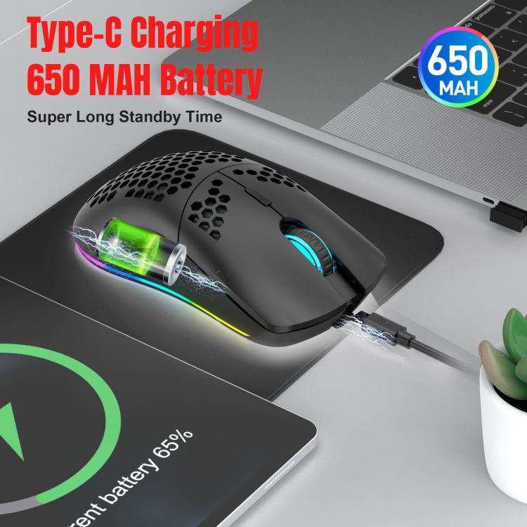 HXSJ T66 3 Modes Wired 2.4G BT5.3 Wireless RGB Rechargeable Mouse(White)