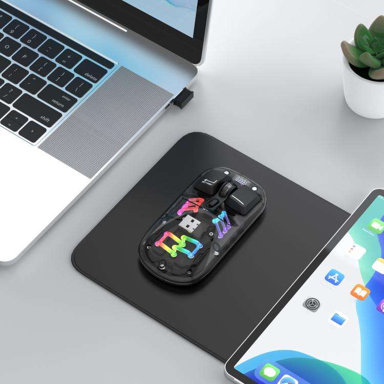 HXSJ T200 Dual Modes 2.4G BT5.0 Transparent RGB Wireless Mouse(Black)
