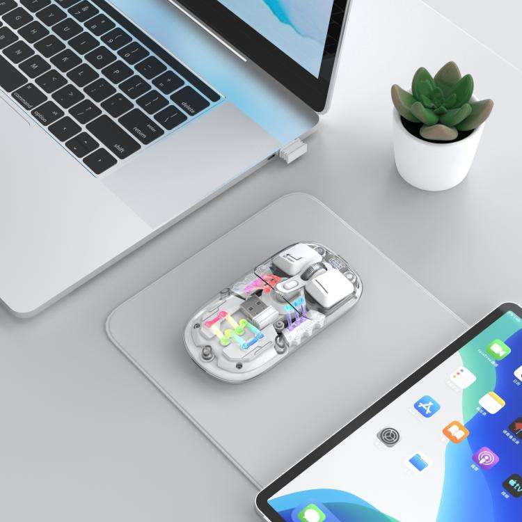 HXSJ T200 Dual Modes 2.4G BT5.0 Transparent RGB Wireless Mouse(White)