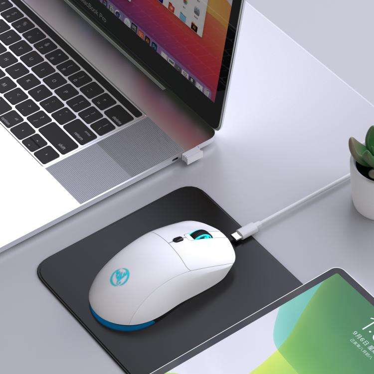 HXSJ T20 2.4GHz Rechargeable Wireless Mouse(White)