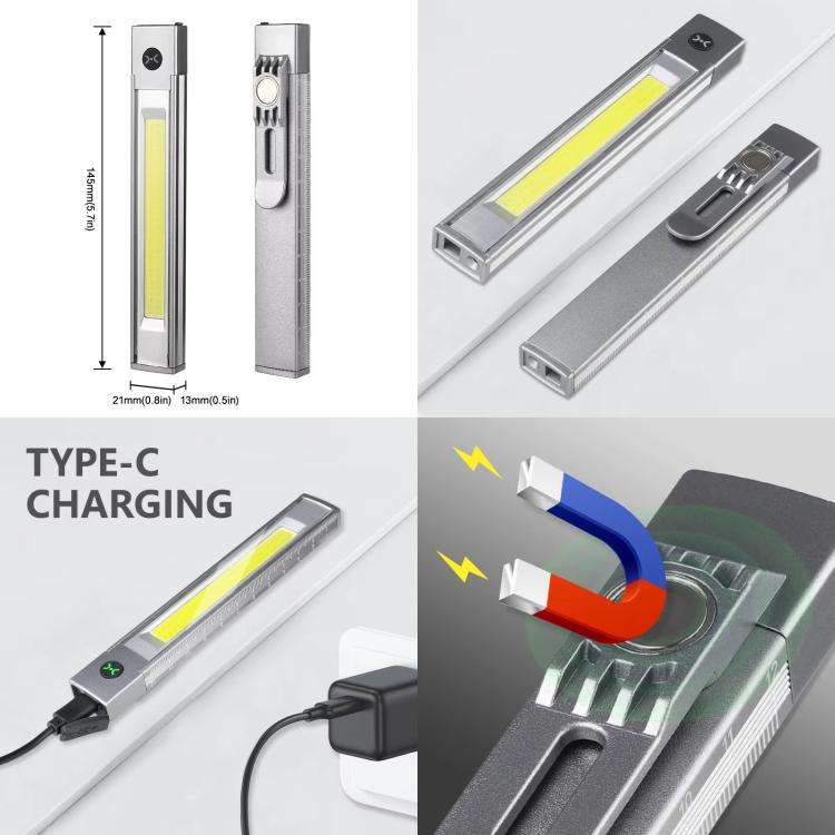 DXC-512 Multifunctional Pen Lamp Work Flashlight with Red Laser Light(Silver)