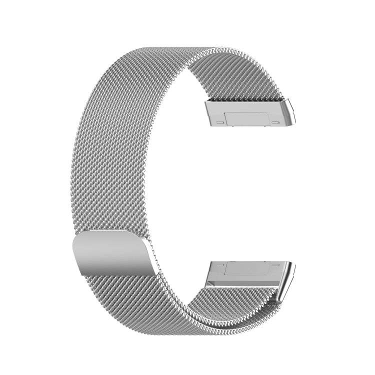 For Fitbit Versa 3 / Fitbit Sense Magnetic Milano Watch Band, Size:Large Size(Silver)
