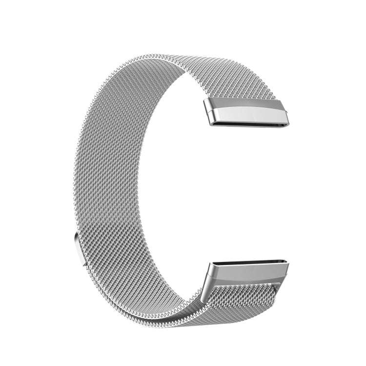For Fitbit Versa 3 / Fitbit Sense Magnetic Milano Watch Band, Size:Large Size(Silver)