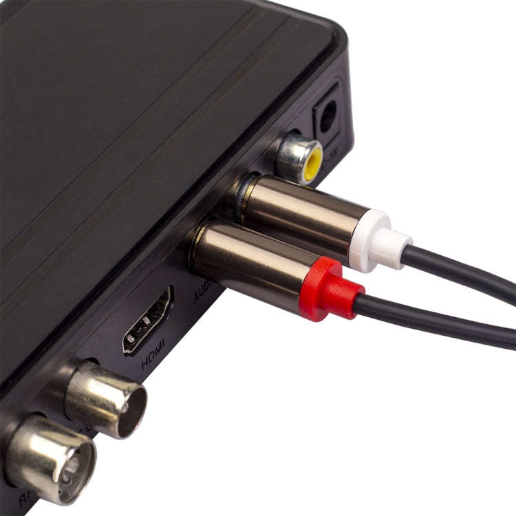3660B 2 x RCA to 2 x RCA Gold-plated Audio Cable, Cable Length:2m(Black)