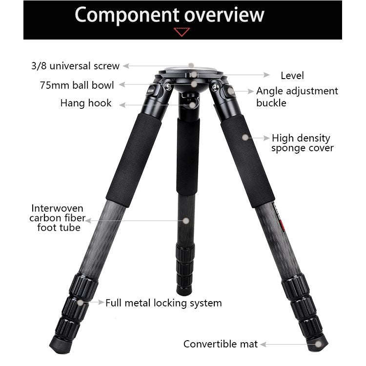 BEXIN ST364C Rugged Camcorder Photographic Carbon Fiber Big Tripod, Max Tube: 36mm