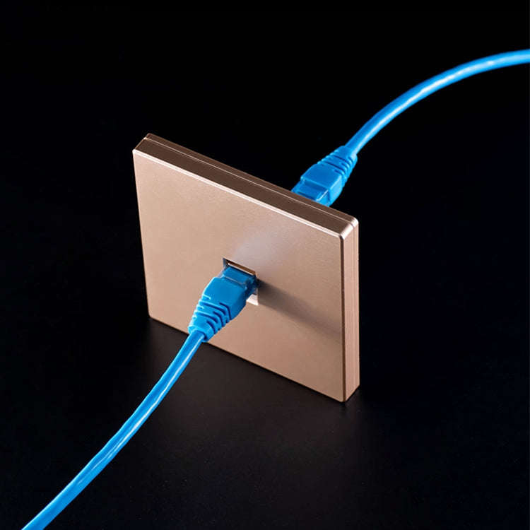 CAT.6 Shielded Pass-through Network Module, Single Port Panel + Shielded Pass-through (Grey)