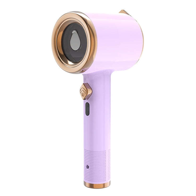 GT-01 33W Handheld Garment Steamer Electric Iron, AU Plug (Light Purple)