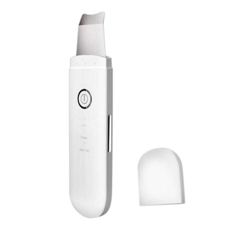 YJK063 Ultrasonic Ion Cleanser Micro-current Massage Beauty Introduction Instrument (Silver)