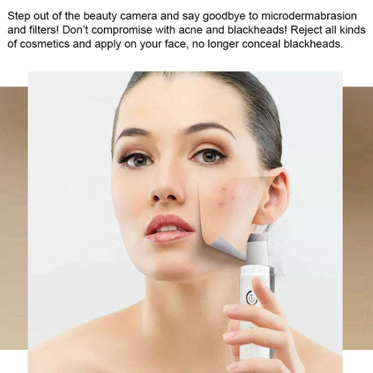 YJK063 Ultrasonic Ion Cleanser Micro-current Massage Beauty Introduction Instrument (Silver)