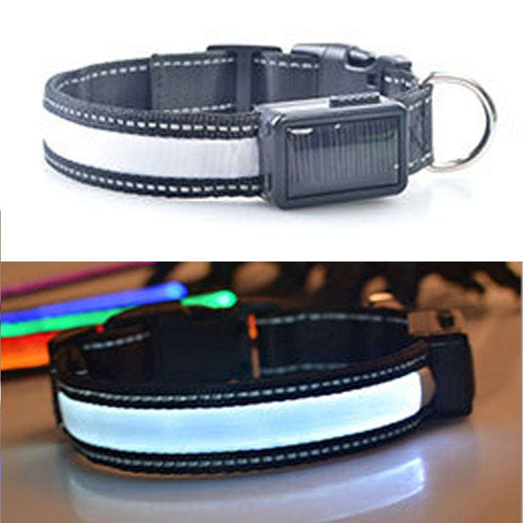 Medium and Large Dog Pet Solar + USB Charging LED Light Collar, Neck Circumference Size: L, 50-60...