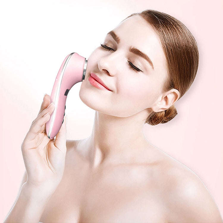 Multi-functional Household Beauty and Body Apparatus Facial Ion Importer (White)