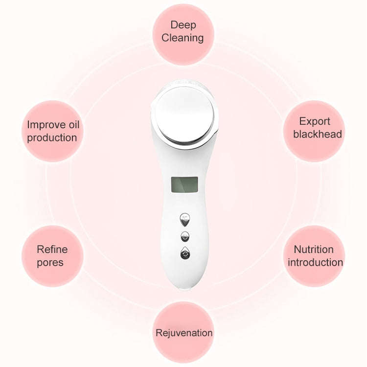 Multi-functional Household Beauty and Body Apparatus Facial Ion Importer (White)