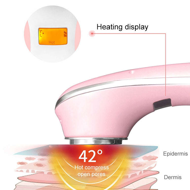 Multi-functional Household Beauty and Body Apparatus Facial Ion Importer (White)