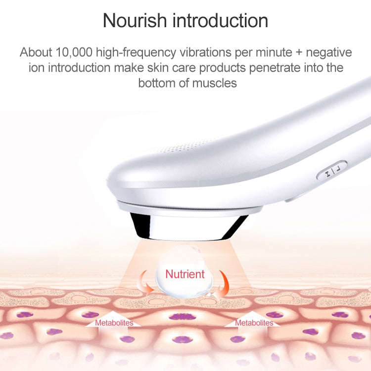 BLK-D020 Ion Import and Export Instrument Facial Beauty Massage Instrument Heating Vibration Ffac...
