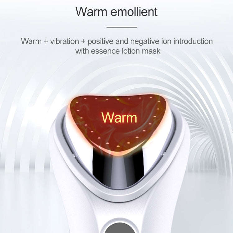 BLK-D020 Ion Import and Export Instrument Facial Beauty Massage Instrument Heating Vibration Ffac...