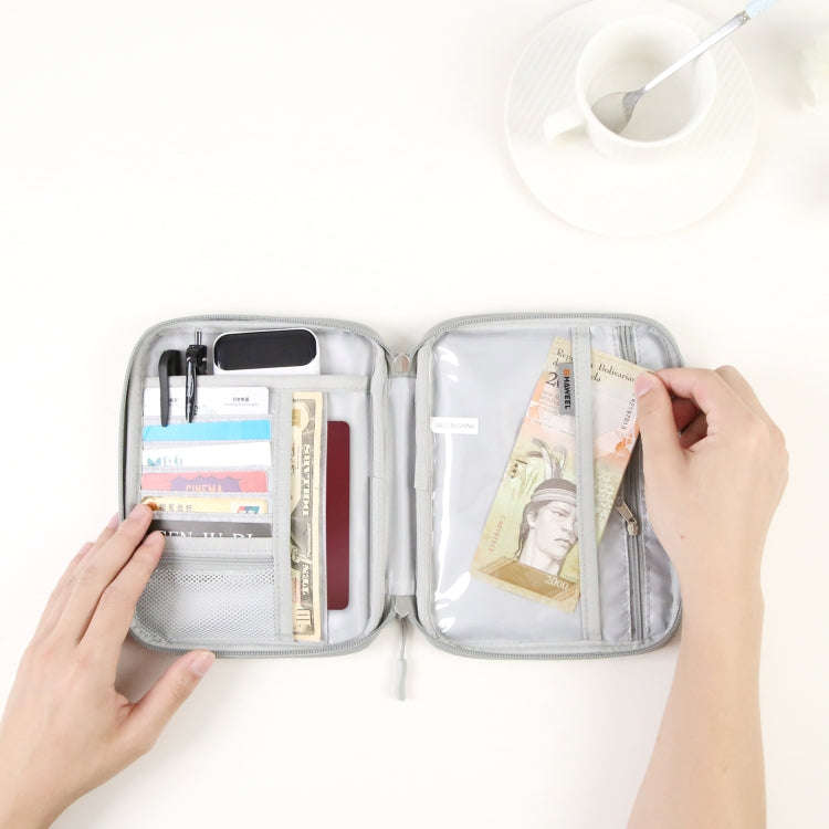 HAWEEL Passport Wallet Document Organizer Credit Cards Case Bag with Handle (Grey)