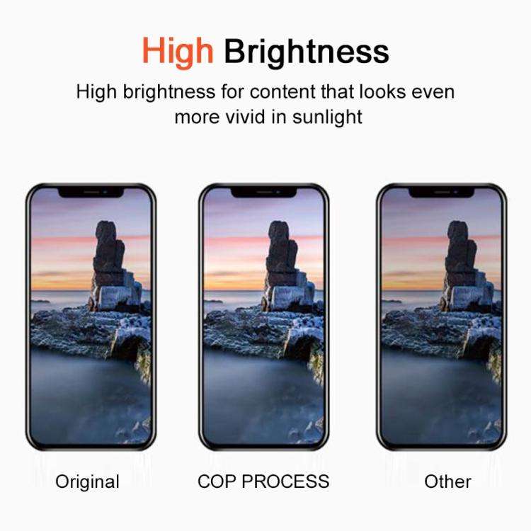 For iPhone 13 Pro Max DD Hard OLED Screen, Remove IC Need Professional Repair