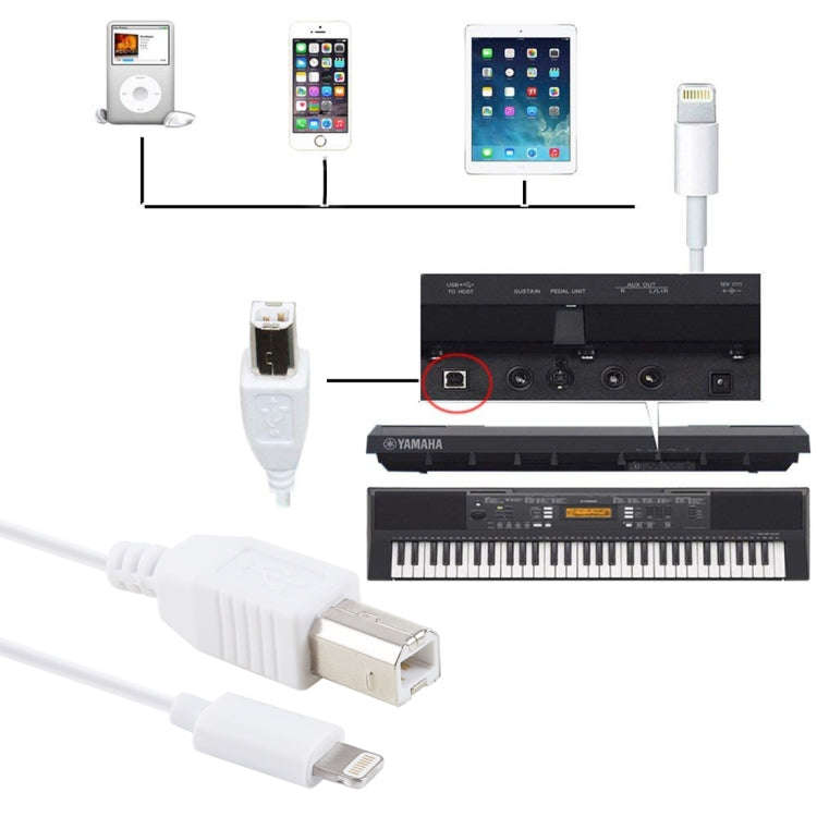 1m 8 Pin to Type-B Male Piano / Electronic Piano Cable MIDI Cable Adapter(White)