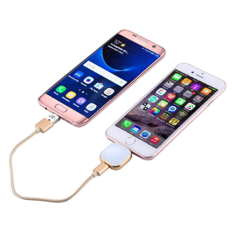 RQW-18S 8 Pin 16GB Multi-functional Flash Disk Drive with USB / Micro USB to Micro USB Cable(Gold)