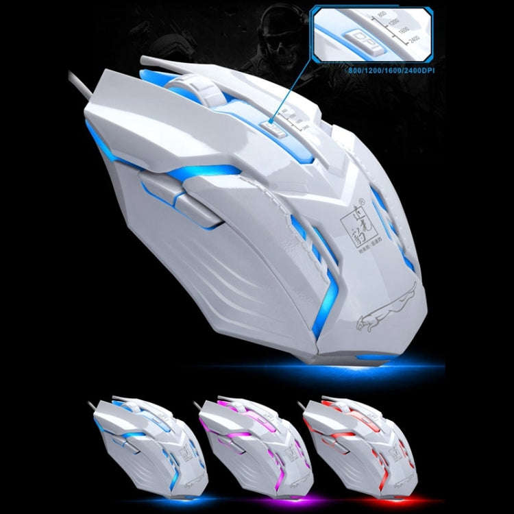 Chasing Leopard G700 USB RGB Backlight Wired Optical Gaming Mouse and Keyboard Set, Keyboard Cabl...