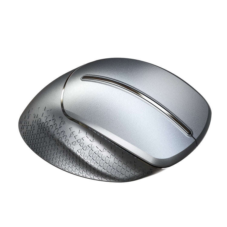 HXSJ T32 Ergonomic Design 2.4G Wireless Vertical Mouse(Silver)