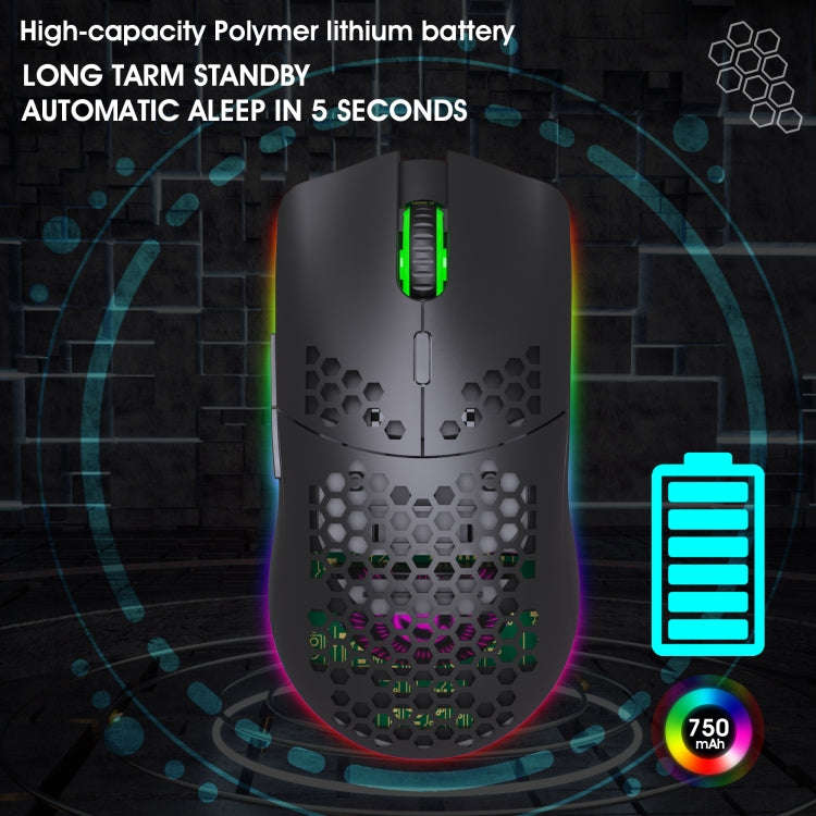 HXSJ T66 7 Keys Colorful Lighting Programmable Gaming Wireless Mouse (White)