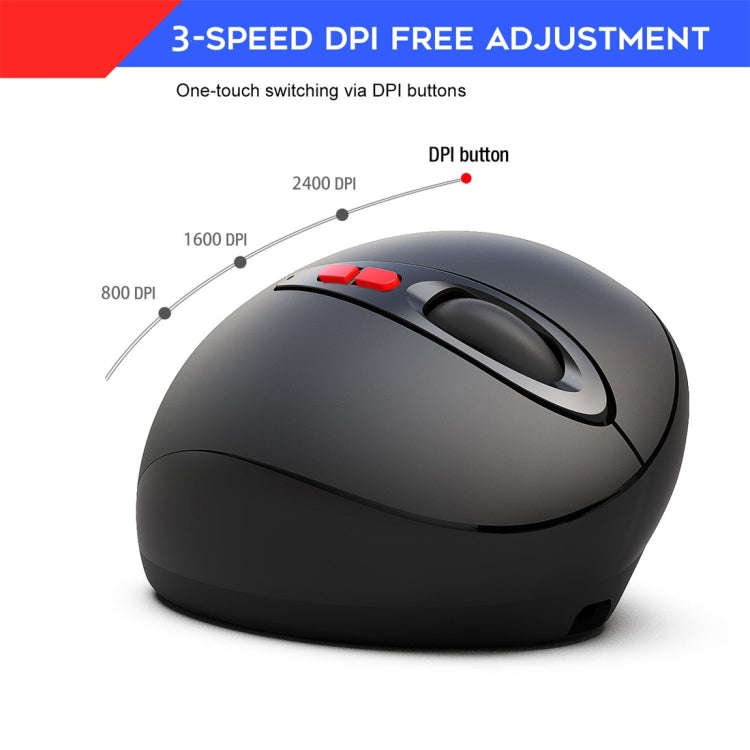 HXSJ T33 2.4GHz Ergonomic Optical Wireless Notebook PC Mouse (Black)