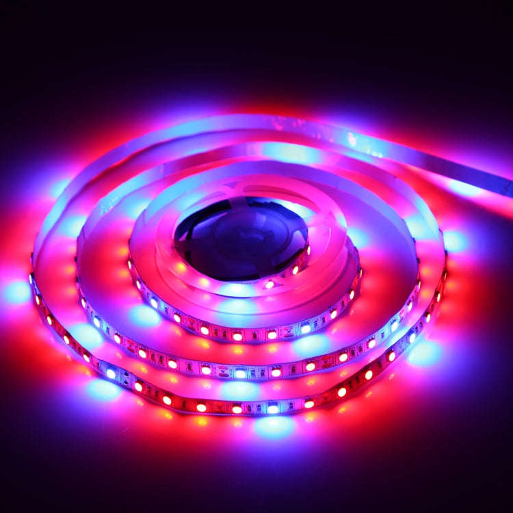 4:1 2m Bare Board 5050 SMD RGB LED Rope Light, 12V 2A 100-240V (AU Plug)