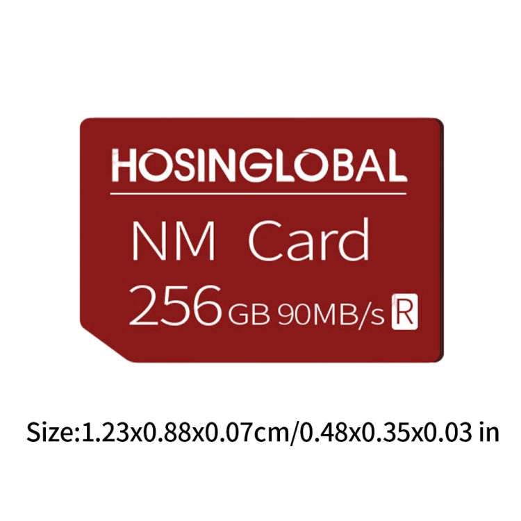 HOSINGLOBAL 90MB/s 256GB NM Card