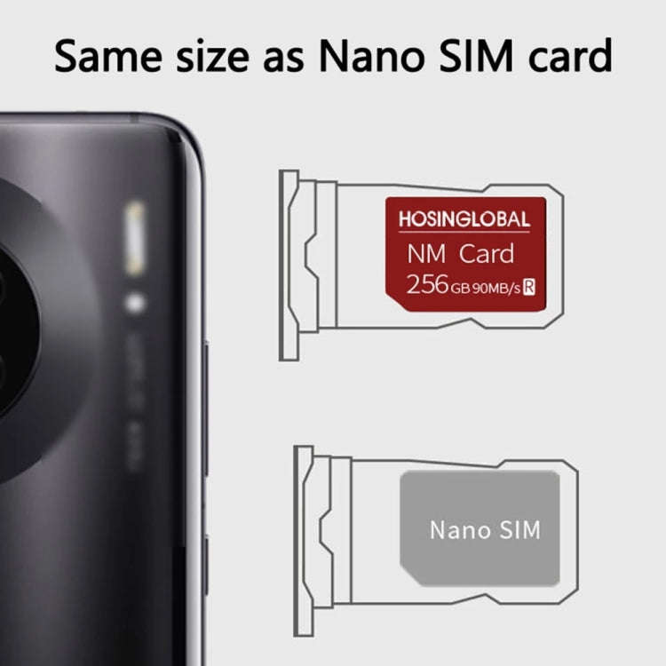 HOSINGLOBAL 90MB/s 256GB NM Card