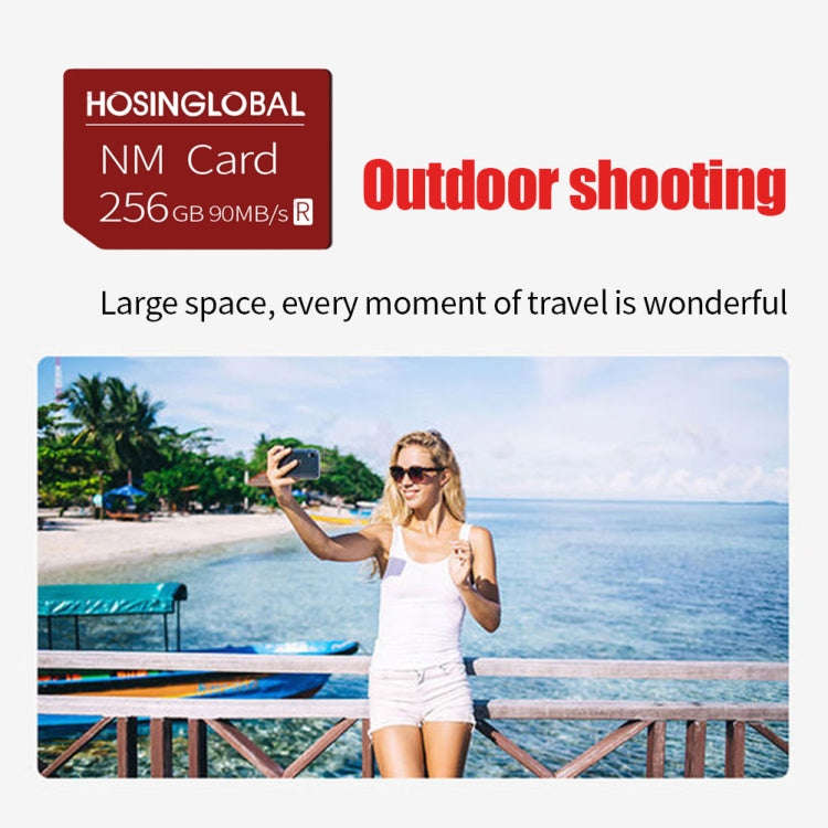 HOSINGLOBAL 90MB/s 256GB NM Card