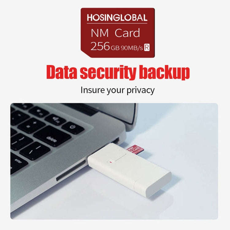 HOSINGLOBAL 90MB/s 256GB NM Card
