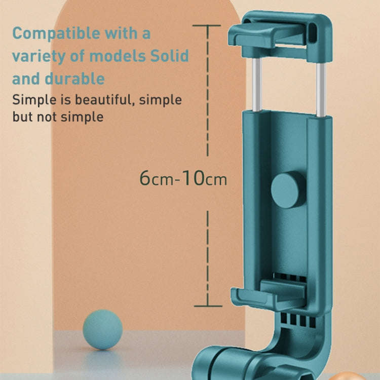 R1 Multifunctional Bluetooth Tripod Selfie Stick (Black)