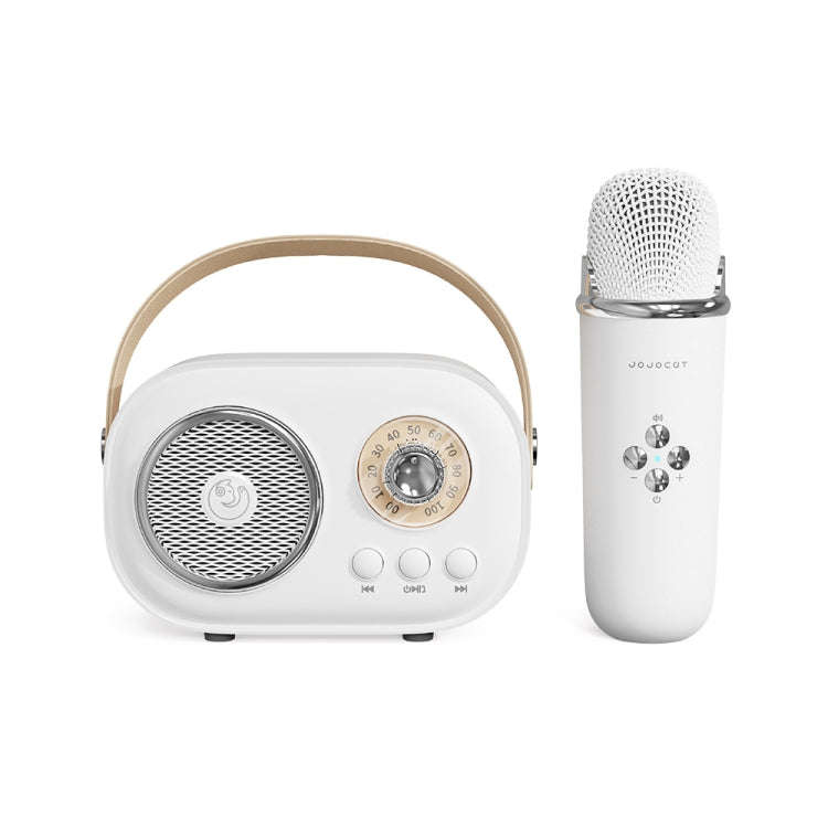 C20 Plus Multifunctional Karaoke Bluetooth Speaker With Microphone (White)