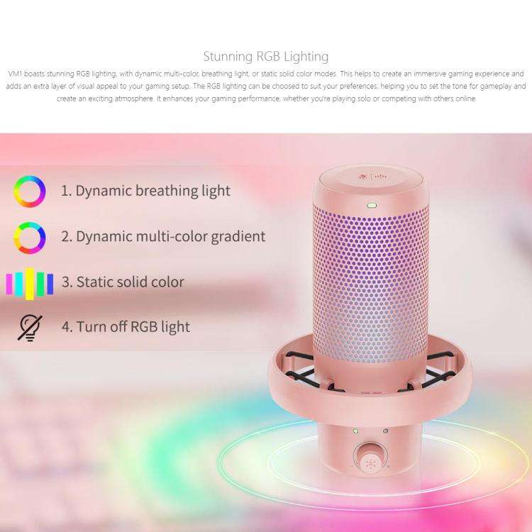 FEELWORLD VM1 USB Condenser Gaming Microphone for Streaming Noise Cancellation Mute RGB Light Des...