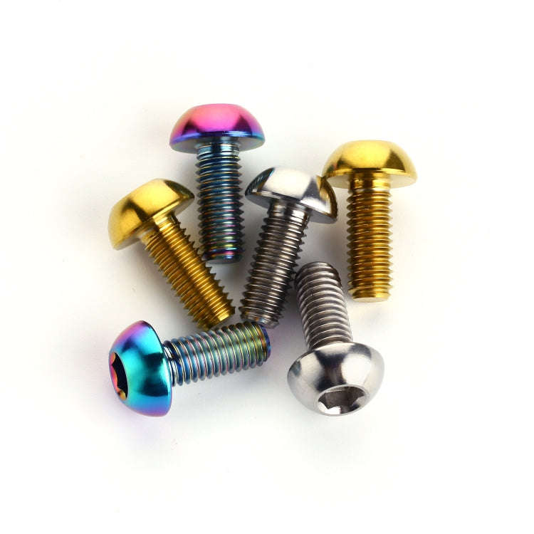 2 PCS Bicycle Accessories Titanium Bottle Cage Screw M5 12mm(Titanium Color)