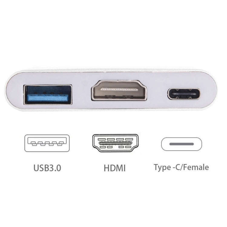 USB-C / Type-C 3.1 Male to USB-C / Type-C 3.1 Female & HDMI Female & USB 3.0 Female Adapter(Silver)