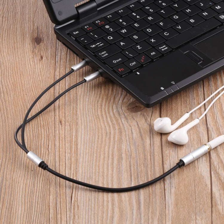 3.5mm Female to 2 x 3.5mm Male Adapter Cable(Silver)