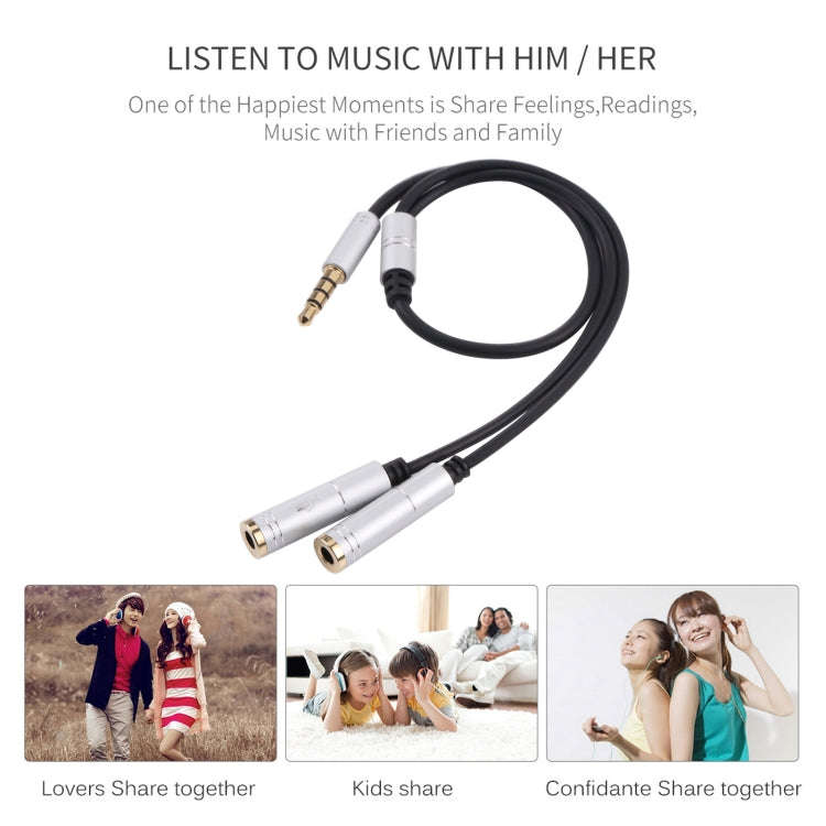 2 x 3.5mm Female to 3.5mm Male Adapter Cable(Silver)