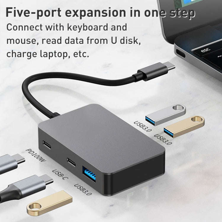 BYL-2316 5 in 1 USB-C / Type-C to USB3.0 & Type-C Multifunctional Docking Station HUB Adapter (Da...