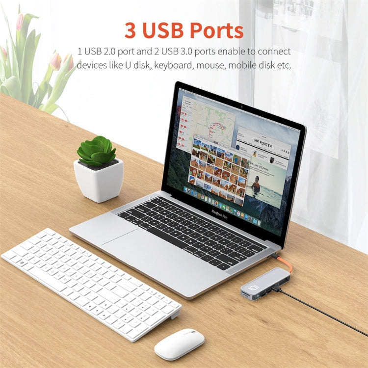 ROCK TR01 10 In 1 Type-C / USB-C to HDMI + VGA Multifunctional Extension HUB Adapter(Silver)