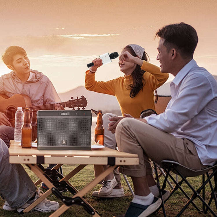 SDRD SD-08 Double Speakers High Sound Quality Handheld KTV Karaoke Recording Bluetooth Wireless C...