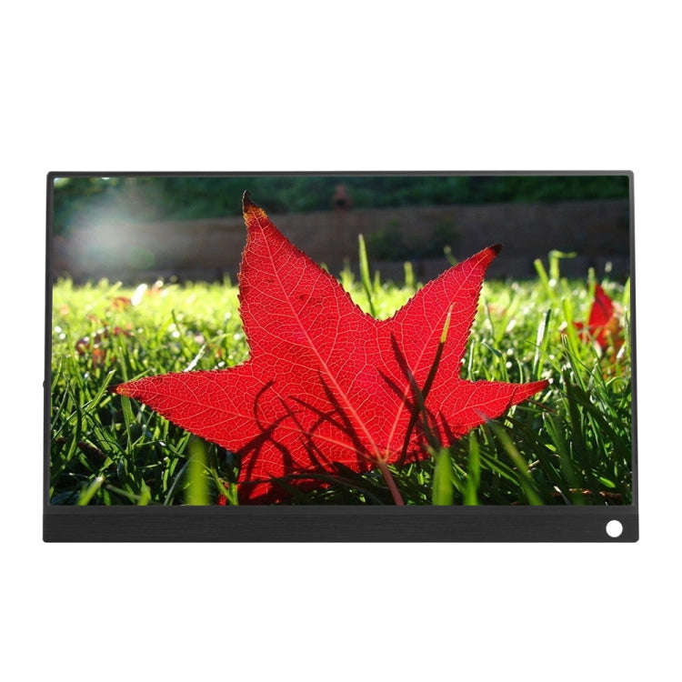 15.6 inch 1080P 178 Degree Wide Angle HD Portable IPS LED Display Monitor