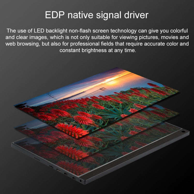 15.6 inch 1080P 178 Degree Wide Angle HD Portable IPS LED Display Monitor
