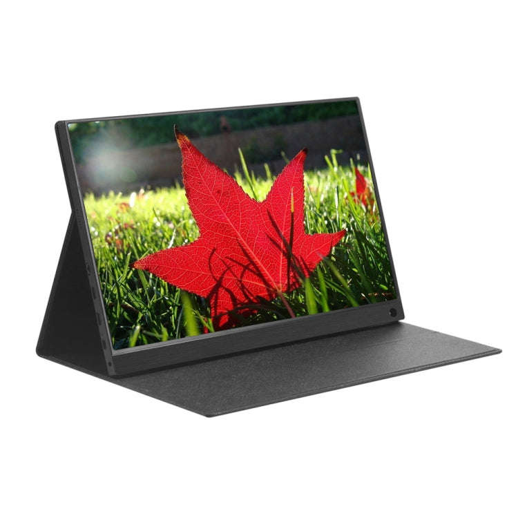 15.6 inch 1080P 178 Degree Wide Angle HD Portable IPS LED Display Monitor